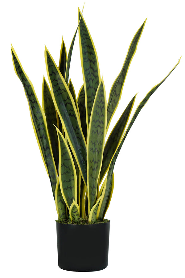 Kunstpflanze Sansevieria H75 cm mit grünem Topf online