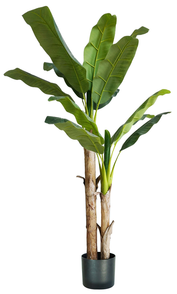 Künstliche Bananenpflanze H170 cm mit grünem Topf acquista