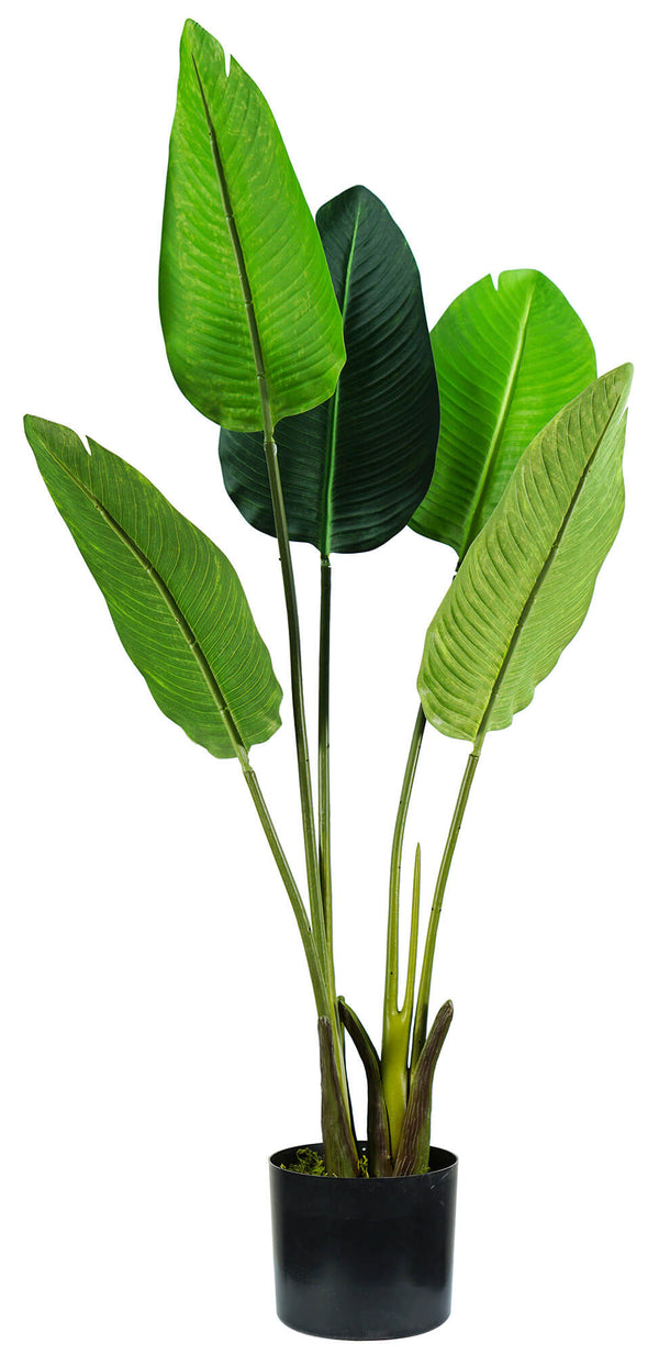 Strelitzia Kunstpflanze H100 cm mit grünem Topf prezzo