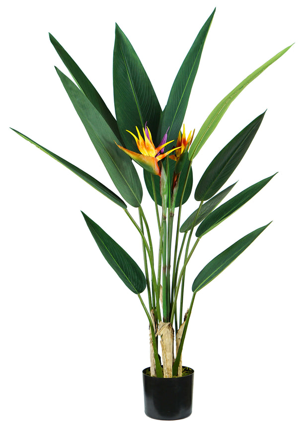 prezzo Strelitzia Kunstpflanze H120 cm mit grünem Topf