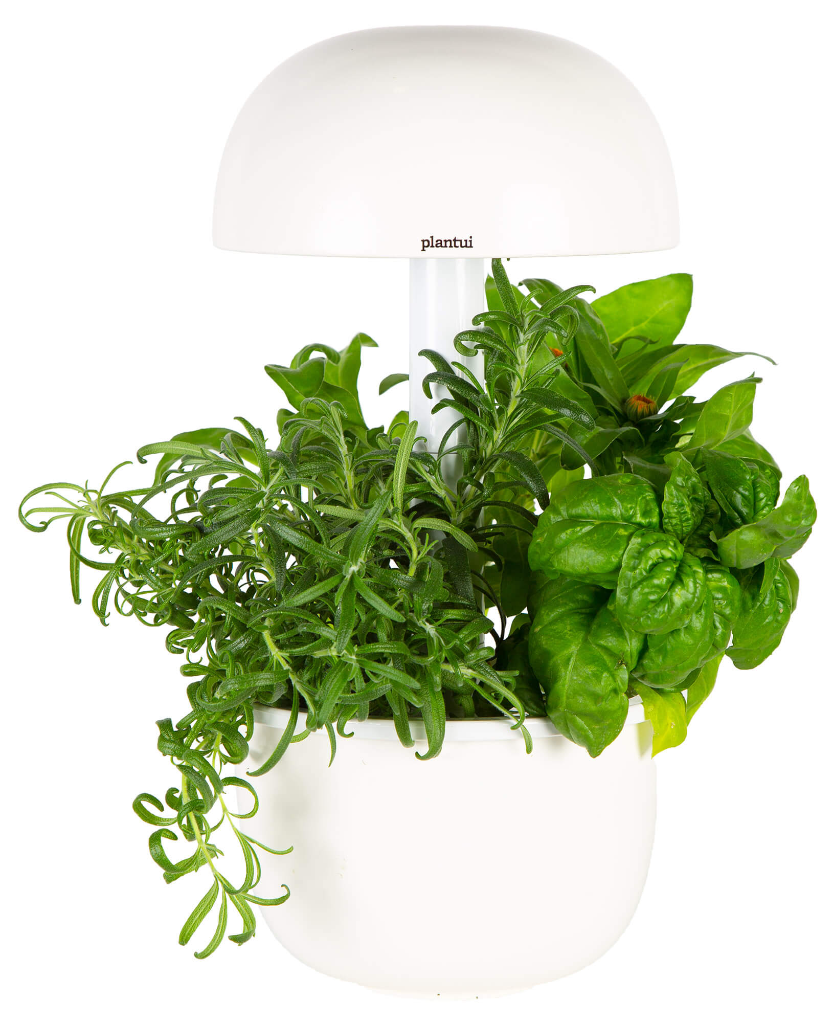 Led-Hydroponik-System für den...