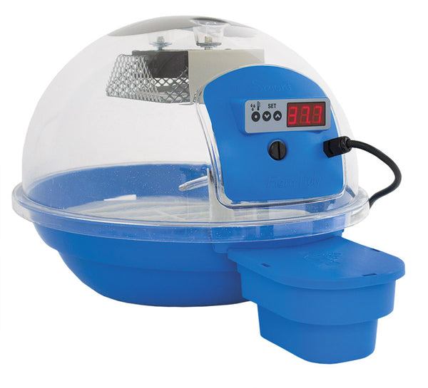 online Fiem Smart Digital 24 Blue Egg Inkubator