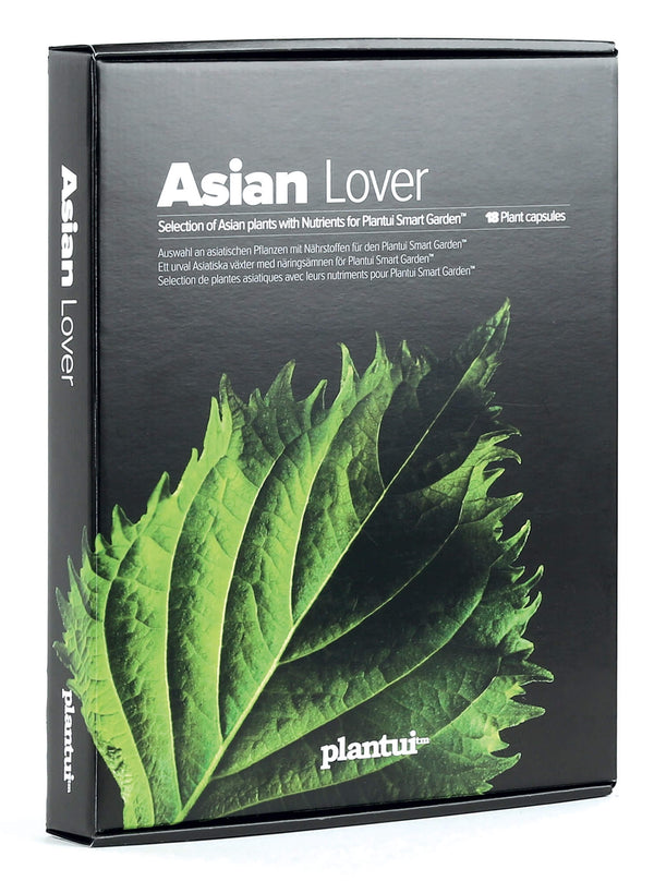 Packung mit 6 Samen exotischer Kräuter für den hydroponischen Anbau Plantui Asian Lover online