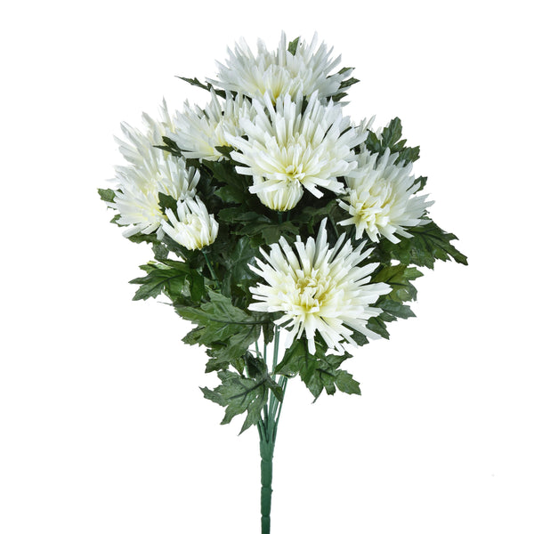 acquista Set 2 Crisantemo Fuji Spider con 12 Fiori H 52 cm