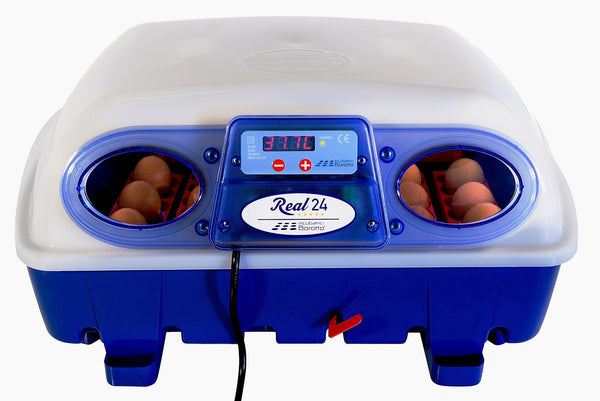 Borotto Real 24 Professioneller halbautomatischer Eierinkubator online