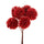 Set 24 Plektren mit Echinops H14 cm Rot
